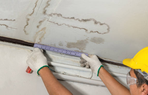 Reliable Mold Remediation contractor in Iola, KS by Water Damage Irwin